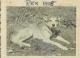 IMHR1935_19480000_PHT_DOG_01.jpg